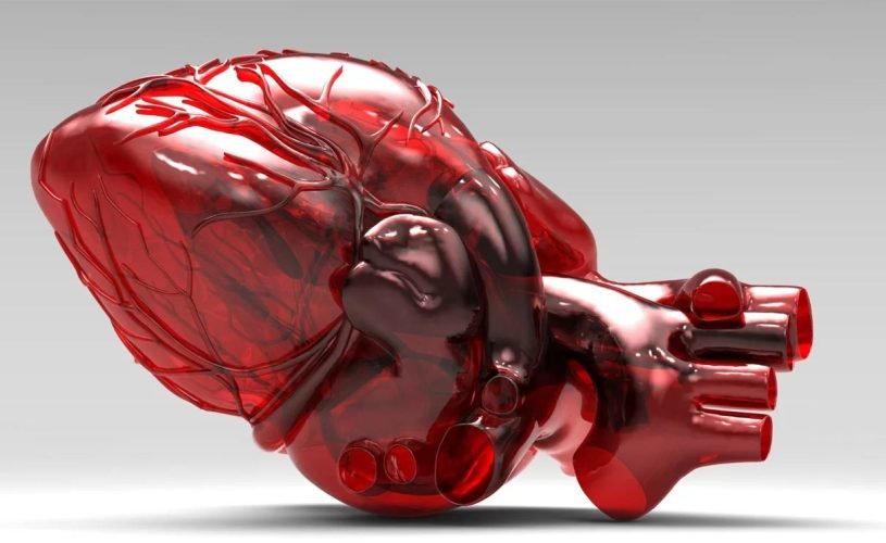 stefaniaia-nosos-featured